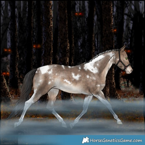 Horse Color:White Spotted Brown Dun Tobiano Appaloosa Rabicano