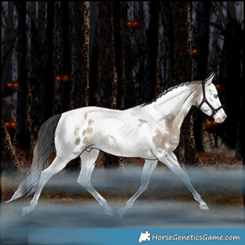 Horse Color:White Spotted Brown Dun Splash Tobiano Appaloosa Rabicano