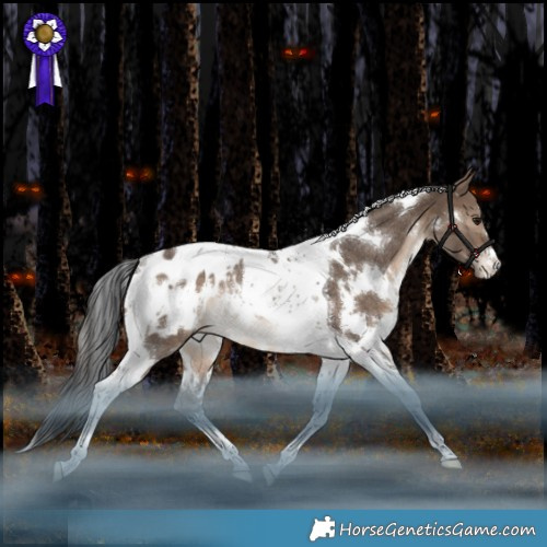 Horse Color:White Spotted Brown Dun Tobiano Appaloosa Rabicano