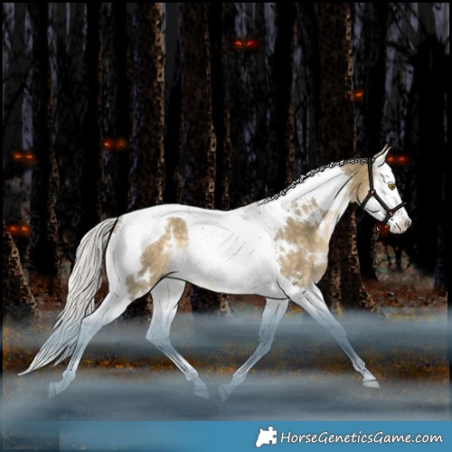 Horse Color:White Spotted Silver Buckskin Dun Splash Tobiano Rabicano 