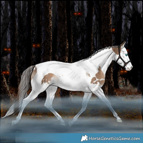 Horse Color:White Spotted Liver Red Dun Splash Tobiano Rabicano