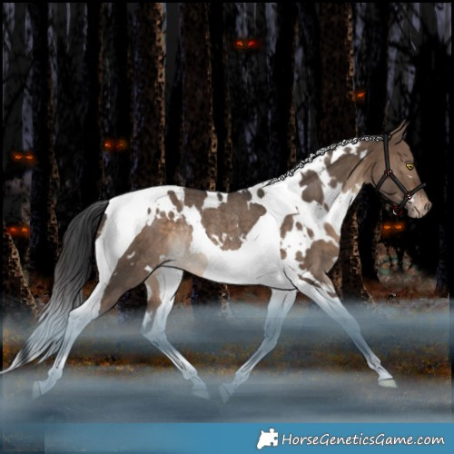 Horse Color:White Spotted Brown Dun Tobiano Appaloosa Rabicano 