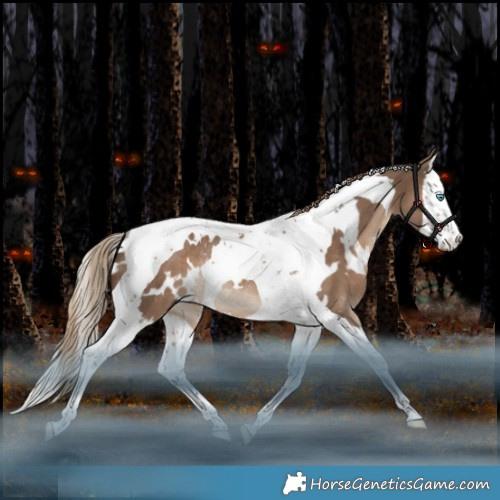 Horse Color:White Spotted Liver Red Dun Splash Tobiano Rabicano 