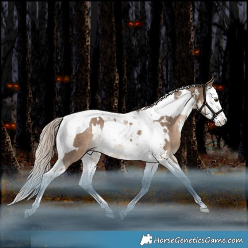 Horse Color:White Spotted Liver Red Dun Splash Tobiano Rabicano 