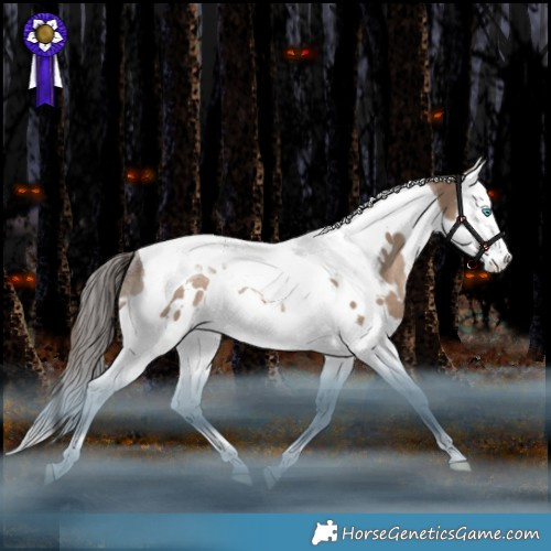 Horse Color:White Spotted Liver Red Dun Splash Tobiano Rabicano