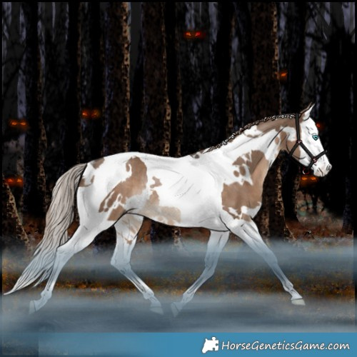 Horse Color:White Spotted Liver Red Dun Splash Tobiano Rabicano