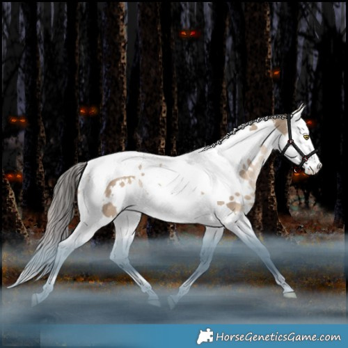 Horse Color:White Spotted Liver Red Dun Splash Tobiano Rabicano 
