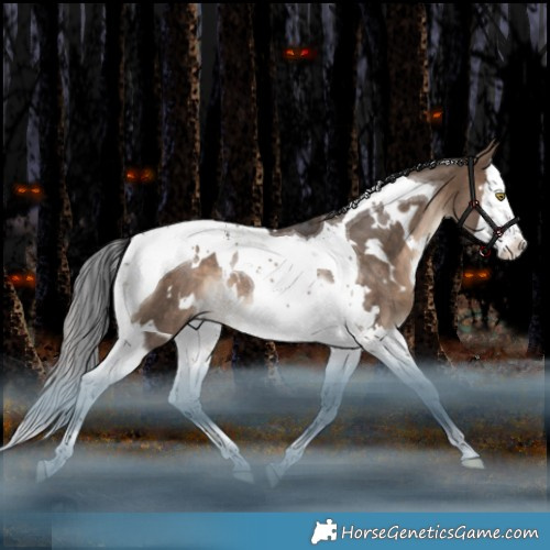 Horse Color:White Spotted Brown Dun Splash Tobiano Rabicano 