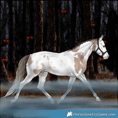 Horse Color:White Spotted Liver Red Dun Splash Tobiano Appaloosa Rabicano