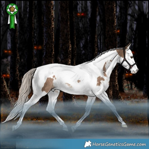 Horse Color:White Spotted Liver Red Dun Splash Tobiano Rabicano