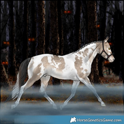 Horse Color:White Spotted Bay Dun Tobiano Appaloosa Rabicano 
