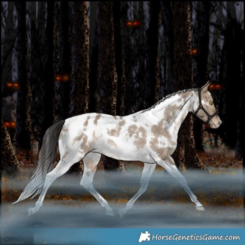 Horse Color:White Spotted Bay Dun Tobiano Appaloosa Rabicano
