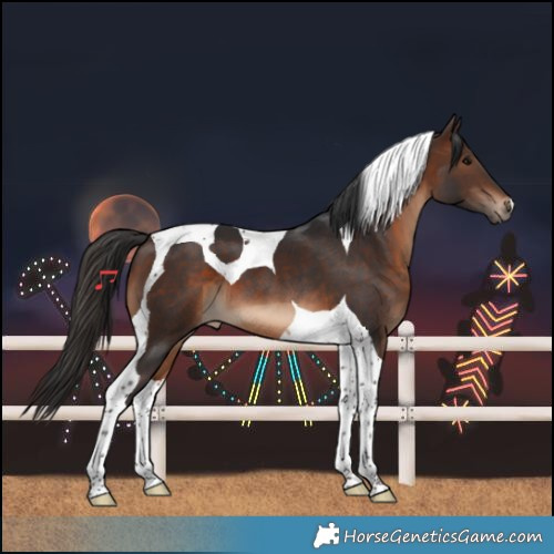 Horse Color:Brown Tobiano 