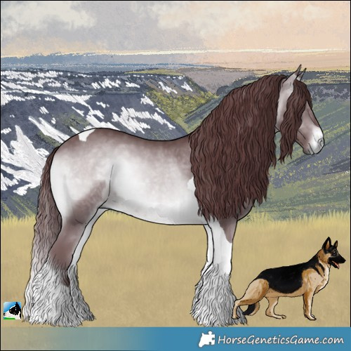Horse Color:Chocolate Brown Chinchilla Onyx Tobiano