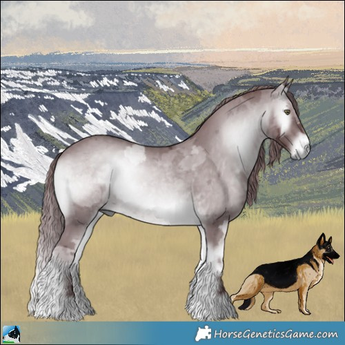 Horse Color:Chocolate Brown Chinchilla Onyx Merle