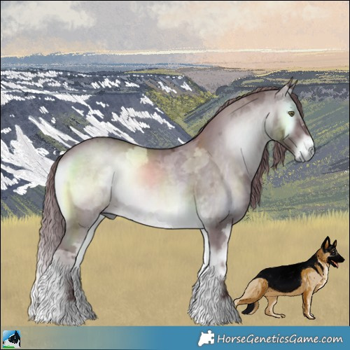 Horse Color:Chocolate Brown Chinchilla Onyx Merle 