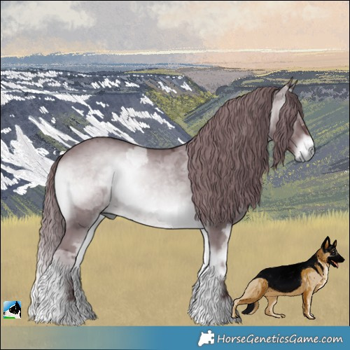 Horse Color:Chocolate Brown Chinchilla Onyx Merle 