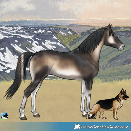 Horse Color:Brown Onyx 