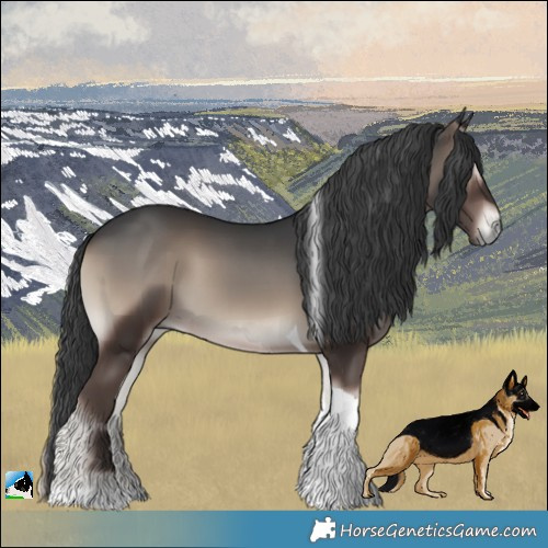 Horse Color:Blue Onyx Tobiano 