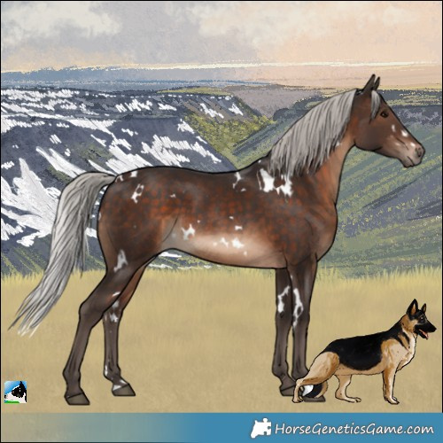 Horse Color:White Spotted Silver Brown 