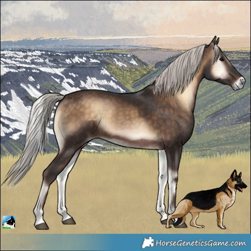 Horse Color:Silver Brown Onyx 