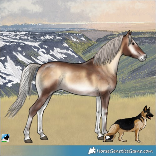 Horse Color:Silver Brown Onyx 