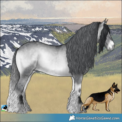 Horse Color:Brown Chinchilla Onyx Merle 