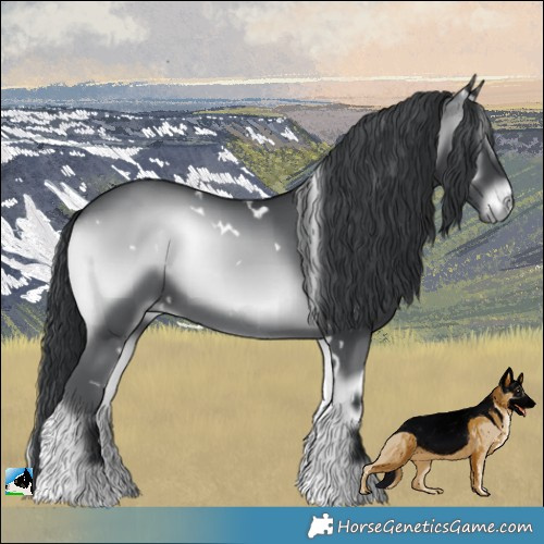 Horse Color:White Spotted Blue Onyx Chinchilla