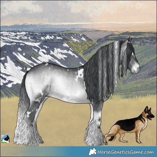Horse Color:White Spotted Brown Chinchilla Onyx Rabicano 