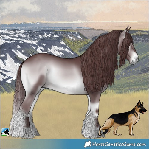 Horse Color:Chocolate Brown Chinchilla Onyx Tobiano