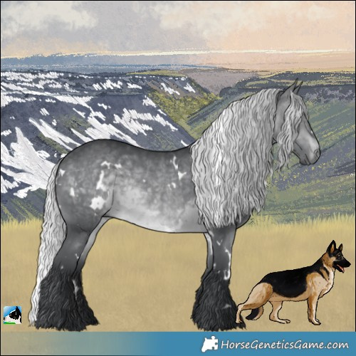 Horse Color:White Spotted Silver Brown Chinchilla Rabicano