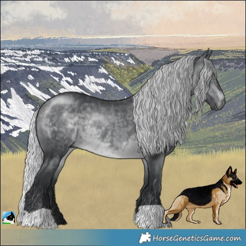 Horse Color:Silver Brown Chinchilla Rabicano