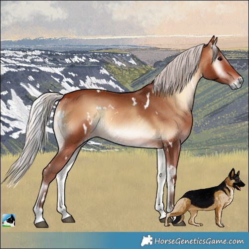 Horse Color:White Spotted Silver Brown Onyx