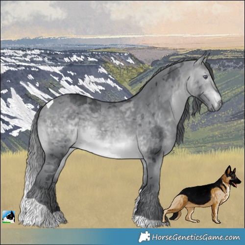 Horse Color:Brown Chinchilla Merle Tobiano