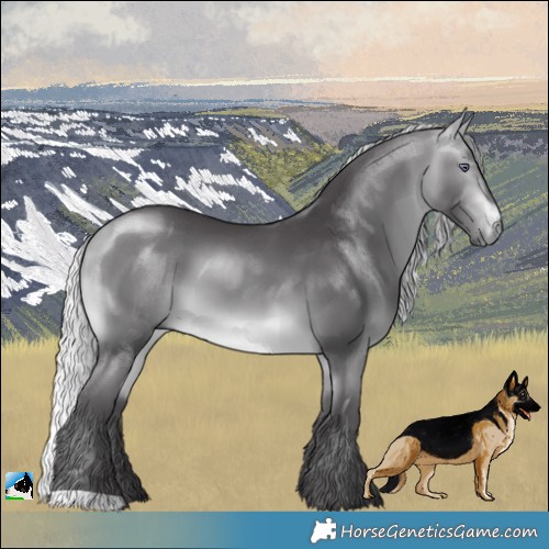 Horse Color:Silver Buckskin Chinchilla 