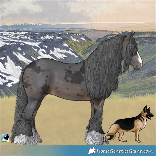 Horse Color:Brown Merle 