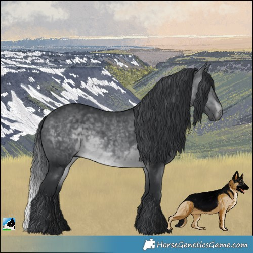 Horse Color:Brown Chinchilla 