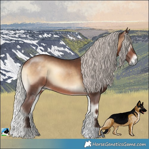 Horse Color:Silver Brown Onyx 