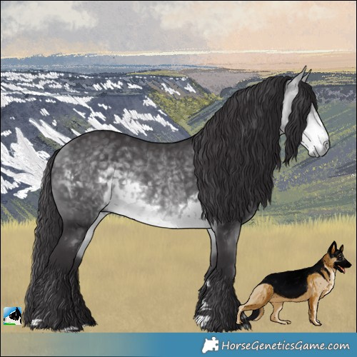 Horse Color:Buckskin Chinchilla 