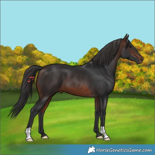 Horse Color:Brown 