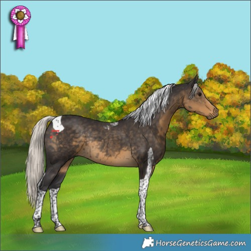 Horse Color:Silver Smoky Black Tobiano Rabicano