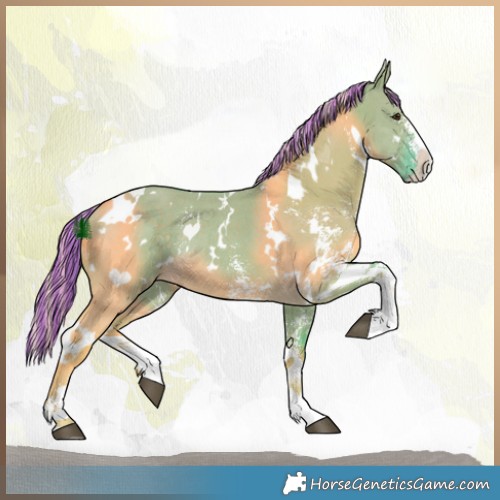 Horse Color:Painted Watercolor White Spotted Chocolate Palomino Dun Sabino Rabicano 