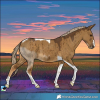 Horse Color:Chocolate Palomino Dun Tobiano Brindle
