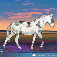 Horse Color:Grullo Harlequin Merle Brindle 