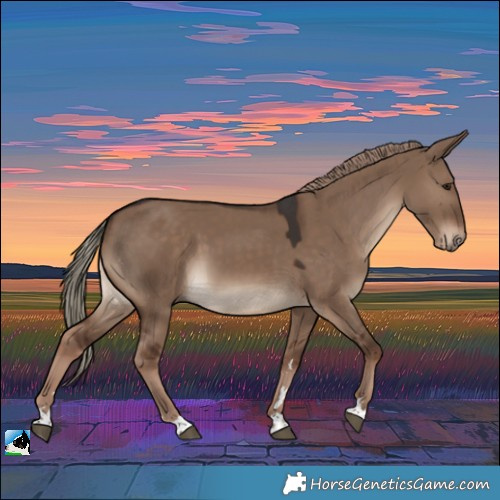 Horse Color:Liver Red Dun
