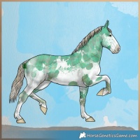 Horse Color:Watercolor Plaid White Spotted Chocolate Palomino
