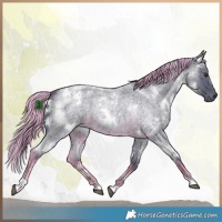 Horse Color:Painted Watercolor White Spotted Chocolate Palomino Roan 