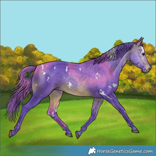 Horse Color:Watercolor White Spotted Brown 