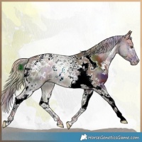 Horse Color:Nacre White Spotted Chocolate Palomino Tobiano 