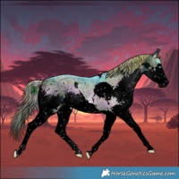 Horse Color:Void Watercolor White Spotted Liver Red Onyx Splash